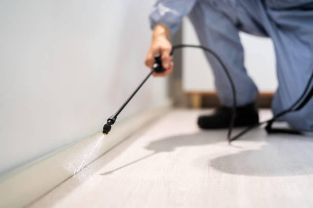 Licensed Cockroach Control service in Brookdale, CA - Nex Pest Control