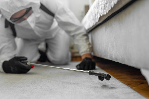Professional Cockroach Control technician working in Brookdale, CA
