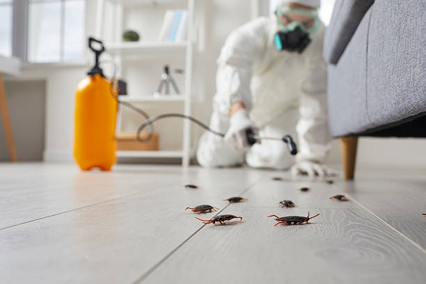 Affordable Cockroach Control solutions in Brookdale, CA